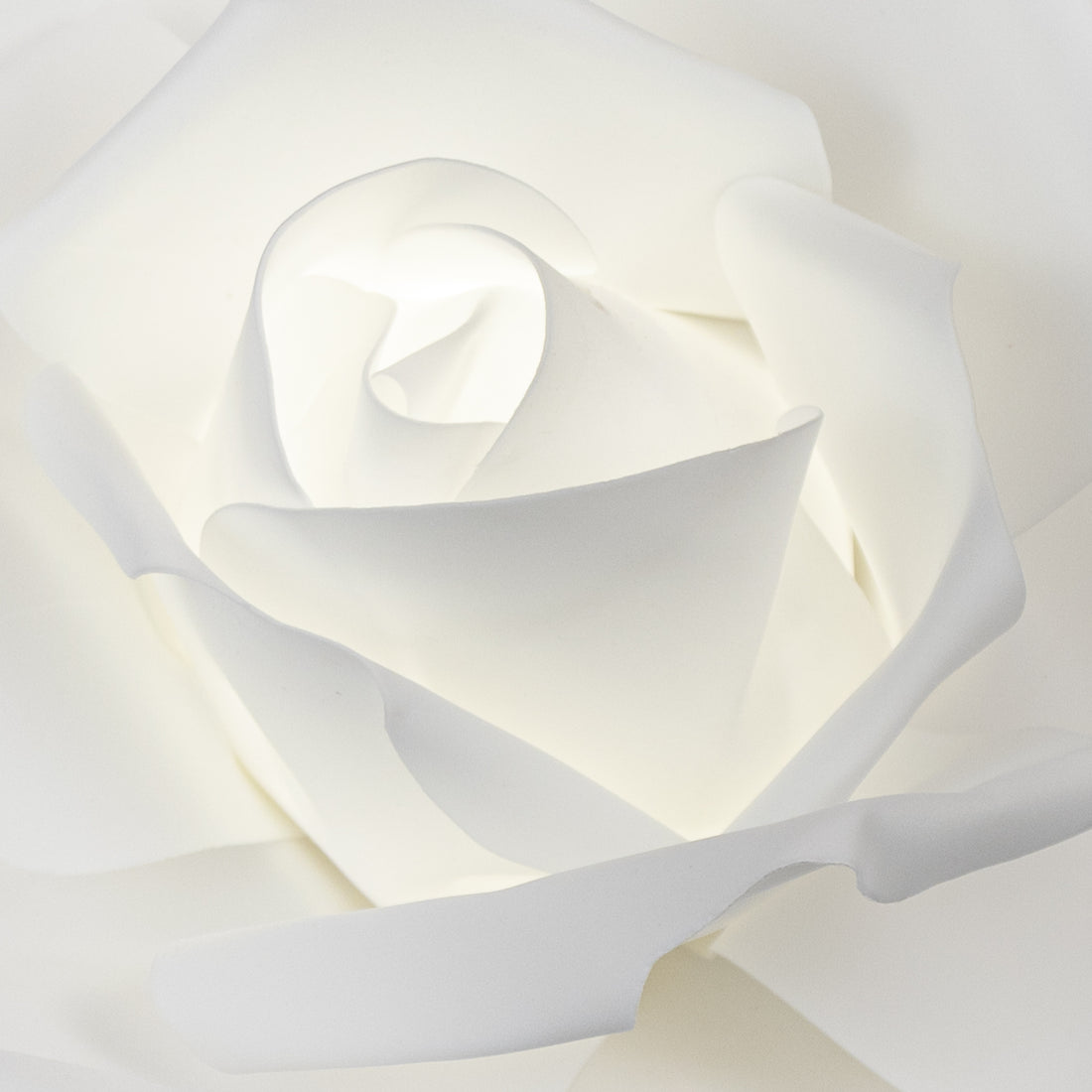 LED Lighted Large Foam Rose Wall Decor 30 cm - White– CV Linens