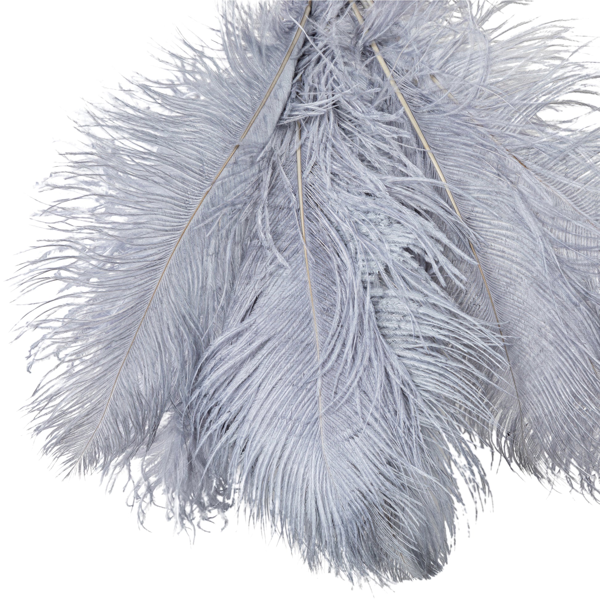 Blue Dyed Over Natural Mini Ostrich Craft Feathers 5-8 Inch 