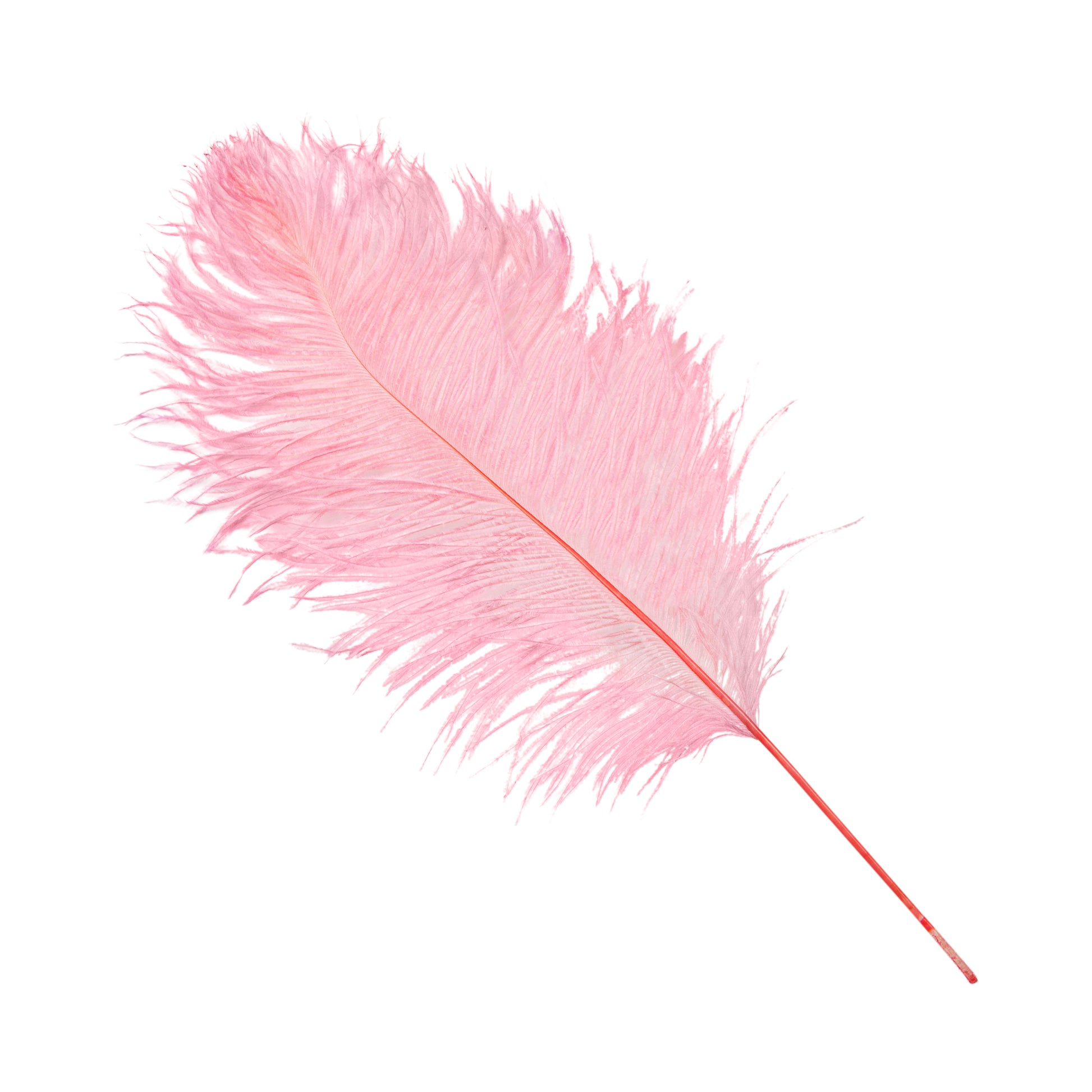 Ostrich Feathers 16"-18" (10 pcs) - Pink