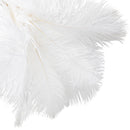Wholesale Ostrich Feathers 16"-18" White | 10 pcs– CV Linens