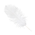 Wholesale Ostrich Feathers 16"-18" White | 10 pcs– CV Linens