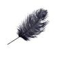 Ostrich Feathers 14"-16" (10 pcs) - Navy Blue