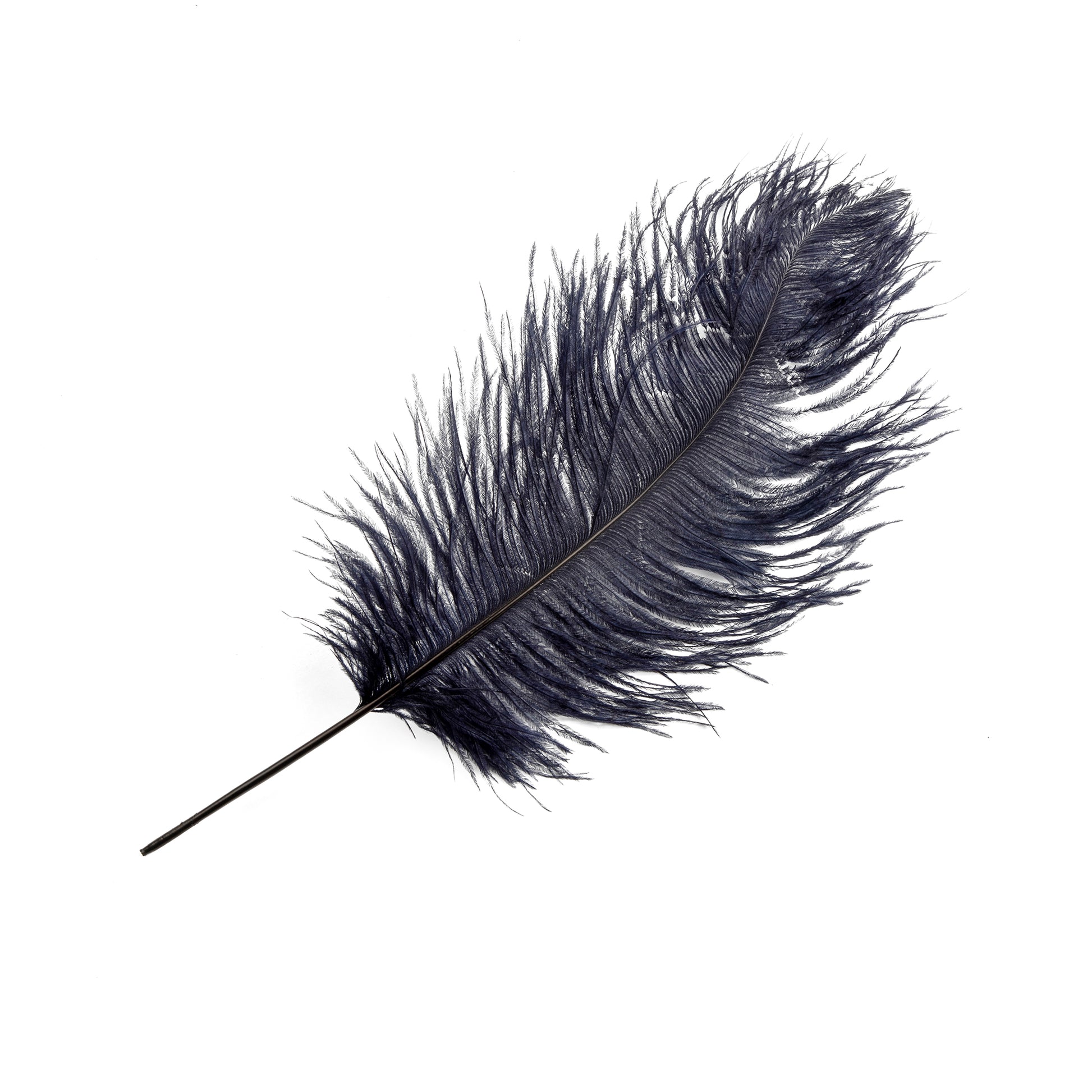 14-16 Ostrich Feathers: Black (6) [] 
