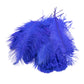 Ostrich Feathers 14"-16" (10 pcs) - Royal Blue
