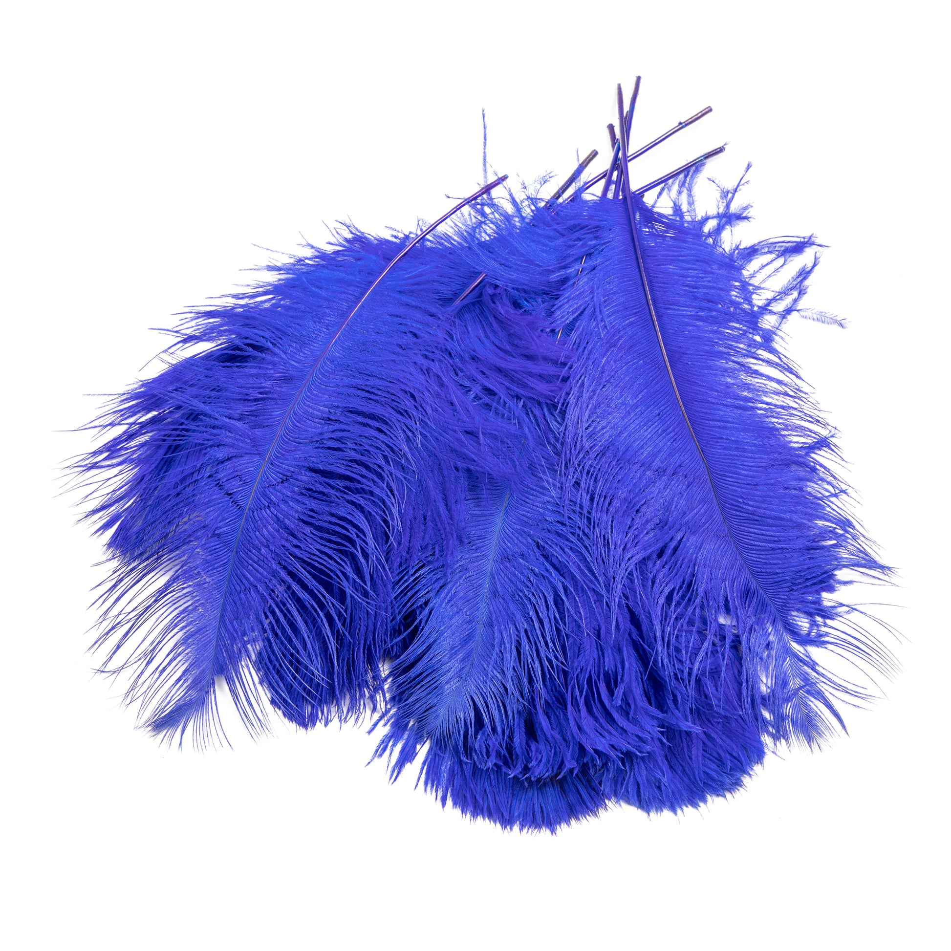 Wholesale 15-75Cm Ostrich Feathers bulk Royal Blue forCraft