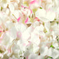 Silk Hydrangeas Flower Wall Backdrop Panel - Bi-Color Pink & White - CV Linens