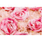 Silk Roses/Hydrangeas Flower Wall Backdrop Panel - Fuchsia & Light Pink - CV Linens