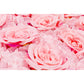 Silk Roses/Hydrangeas Flower Wall Backdrop Panel - Pink - CV Linens