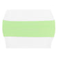 Spandex Chair Band - Mint Green - CV Linens